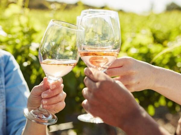 Niagara Wine & Chocolate Tour